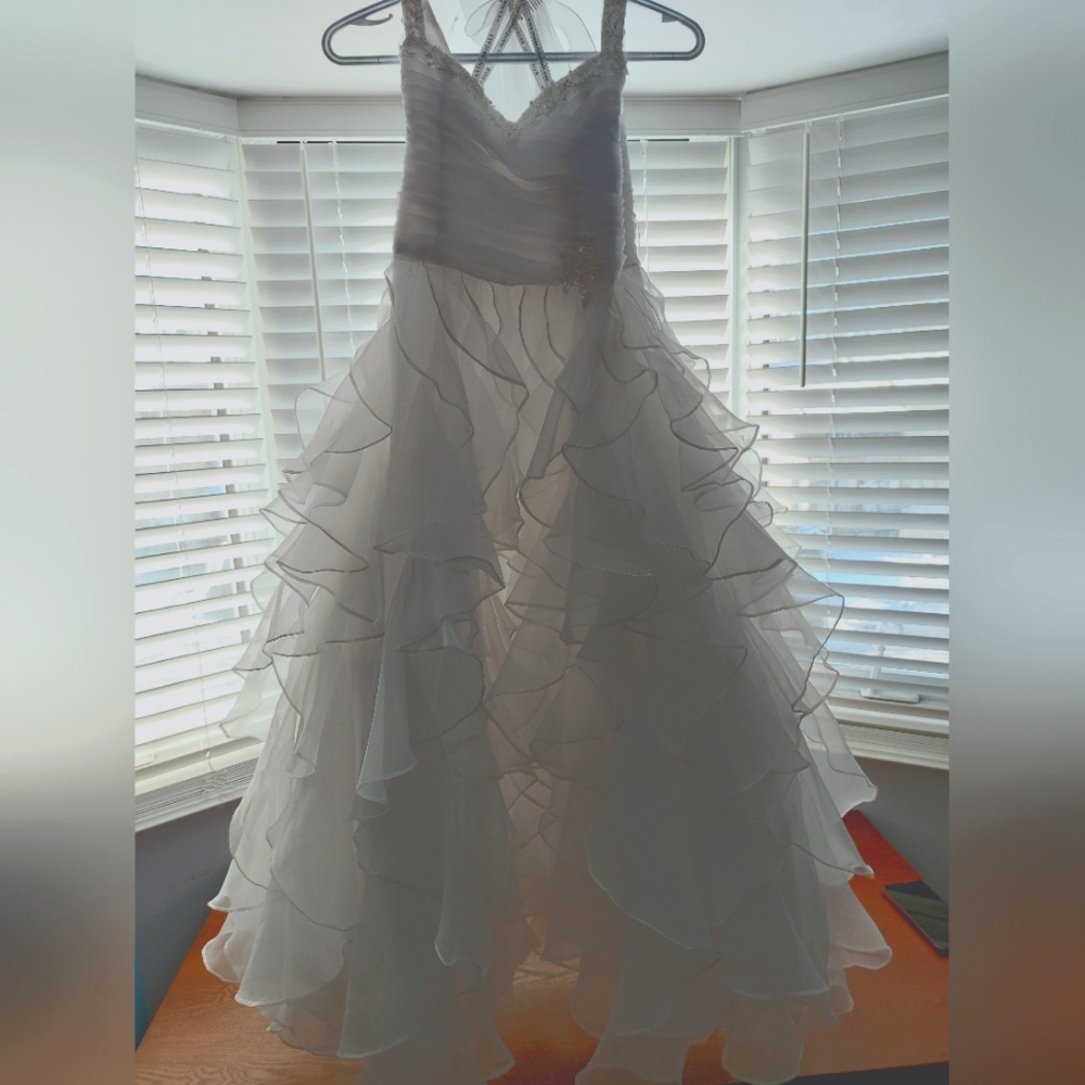 Flower Girl / Communion dress and matching veil